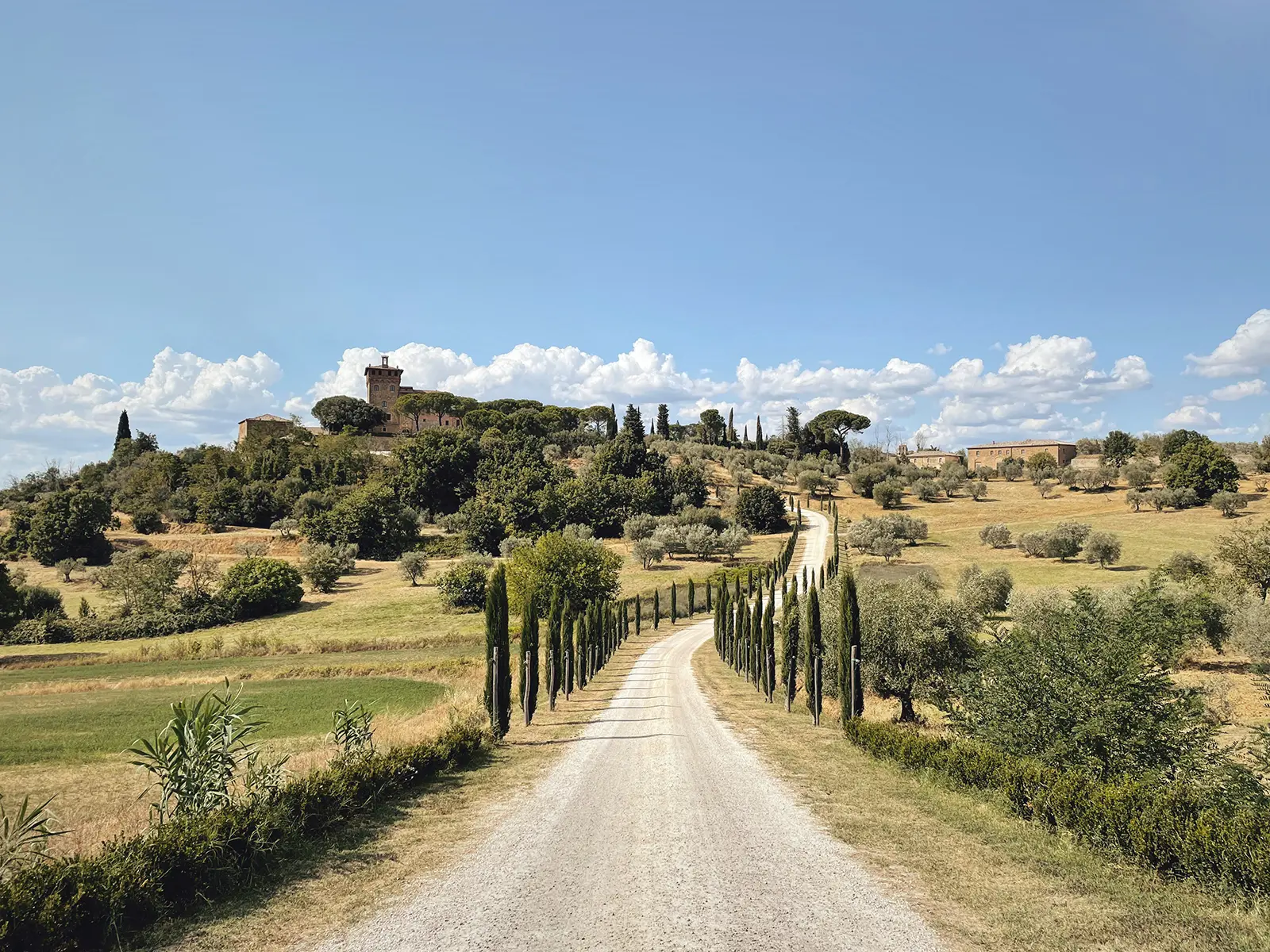 TOSCANA INEDITA ed il pavimento scoperto del Duomo di Siena